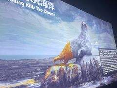 -重庆欢乐海底世界