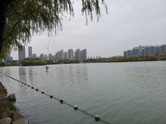 -天鹅湖体育公园