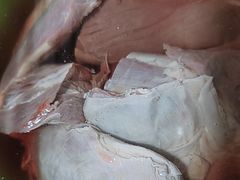 -新隆嘉供销超市(青岛瑞昌路店)