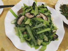 -清真·安乐园菜馆(茶南店)