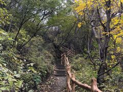 -雾灵西峰