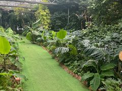 -呀路古热带植物园