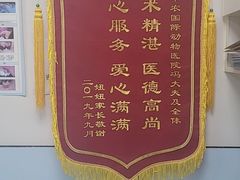 -中农国际动物医院24小时·猫科·骨科·急重症中心