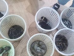 -小海豚•老字号海鲜餐厅(天涯店)