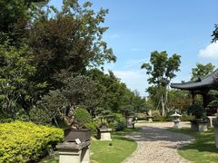 -江心屿景区