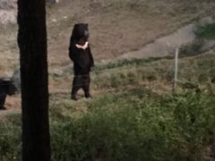 -清迈夜间动物园