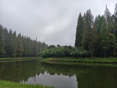 -黄海国家森林公园