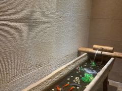 -良子健身·竹Spa(五四广场店)