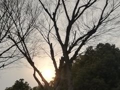 -尚贤河湿地