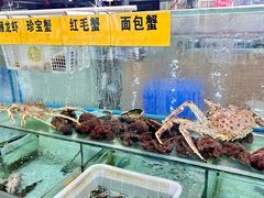 -寻味顺德·南记酒家·传统顺德菜·鱼生(广源路店)