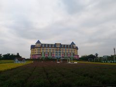 -百万葵园