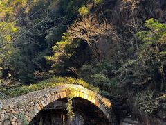 -天台山琼台仙谷景区