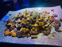 牙签牛肉-醉小酒馆·川菜·江湖菜·重庆菜(观音桥旗舰店)