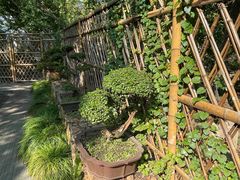 -东山雕花楼