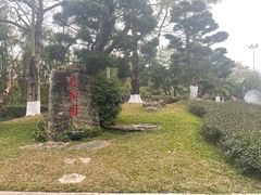 -名树园