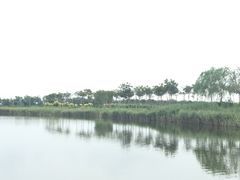 -南大港湿地风景区