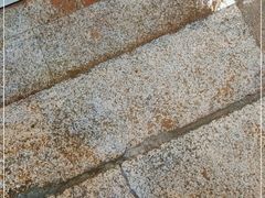 -陈添記·祖傳爽鱼皮·西关老字号(广州首店)