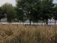 -上海山野camping·户外天幕烧烤·团建拓展营地