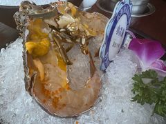 -东海怡品海鲜豆捞(舟宿夜江店)
