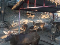 -北京鹿世界主题园