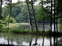 -桤木河湿地公园