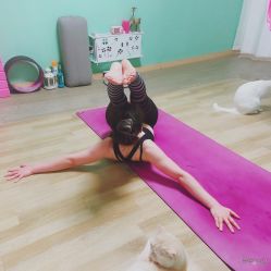 -齐伽生活馆·瑜伽·普拉提·阿育吠陀