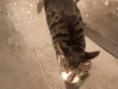 -牧歌商务公馆(南门店)