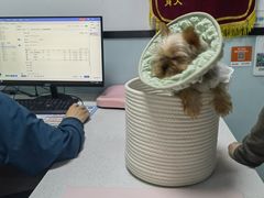 -嘉馨宠物医院·CT影像转诊·心脏科·犬猫全科诊疗中心(下沙大学城院区)