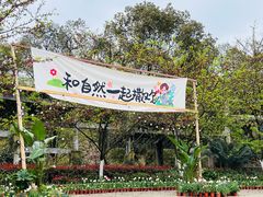 -南山植物园