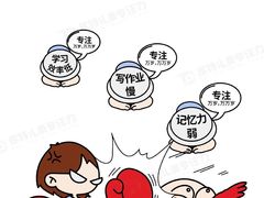 -多特儿童专注力·感统训练·注意力提升培训(锦峰训练中心)