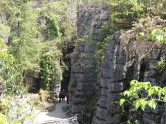 -梭布垭石林景区