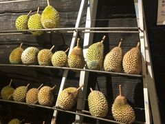 -都念榴莲·城市榴莲