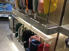 -momokira米努特·德文卷毛猫·棉花面纱犬