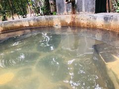 -西安国际创新人才交流中心•药浴温泉
