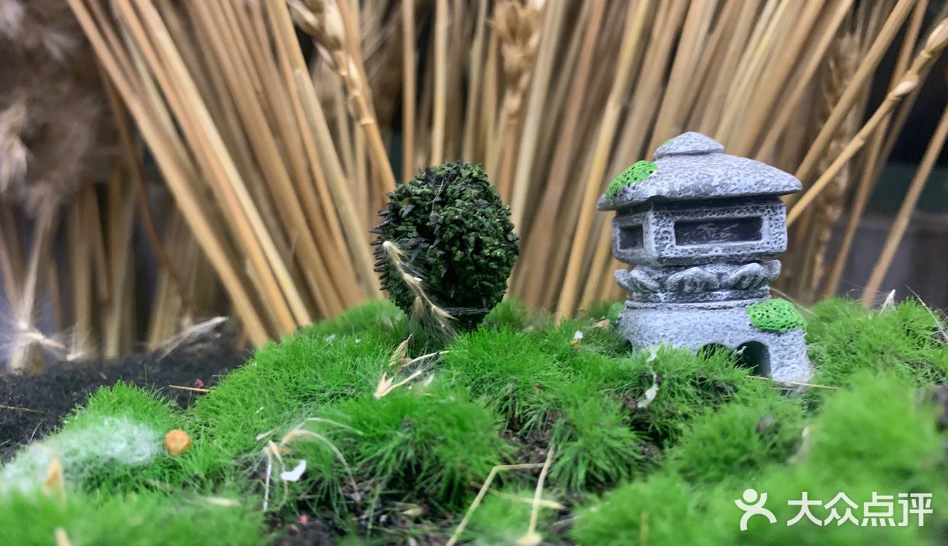 奈赐有一抹人情味