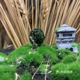 奈赐有一抹人情味