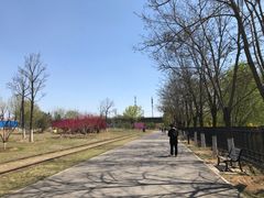 -永定河休闲森林公园