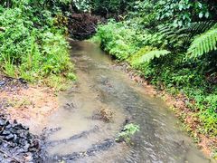 -热带雨林自然公园