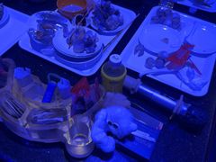 -萧邦音乐会所KTV·蒸汽活海鲜自助(福田店)