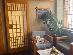 -鸥迪足道(金州店)