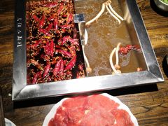 -二荆条·蜀鲜汇城市森林火锅