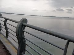 -漕湖湿地公园