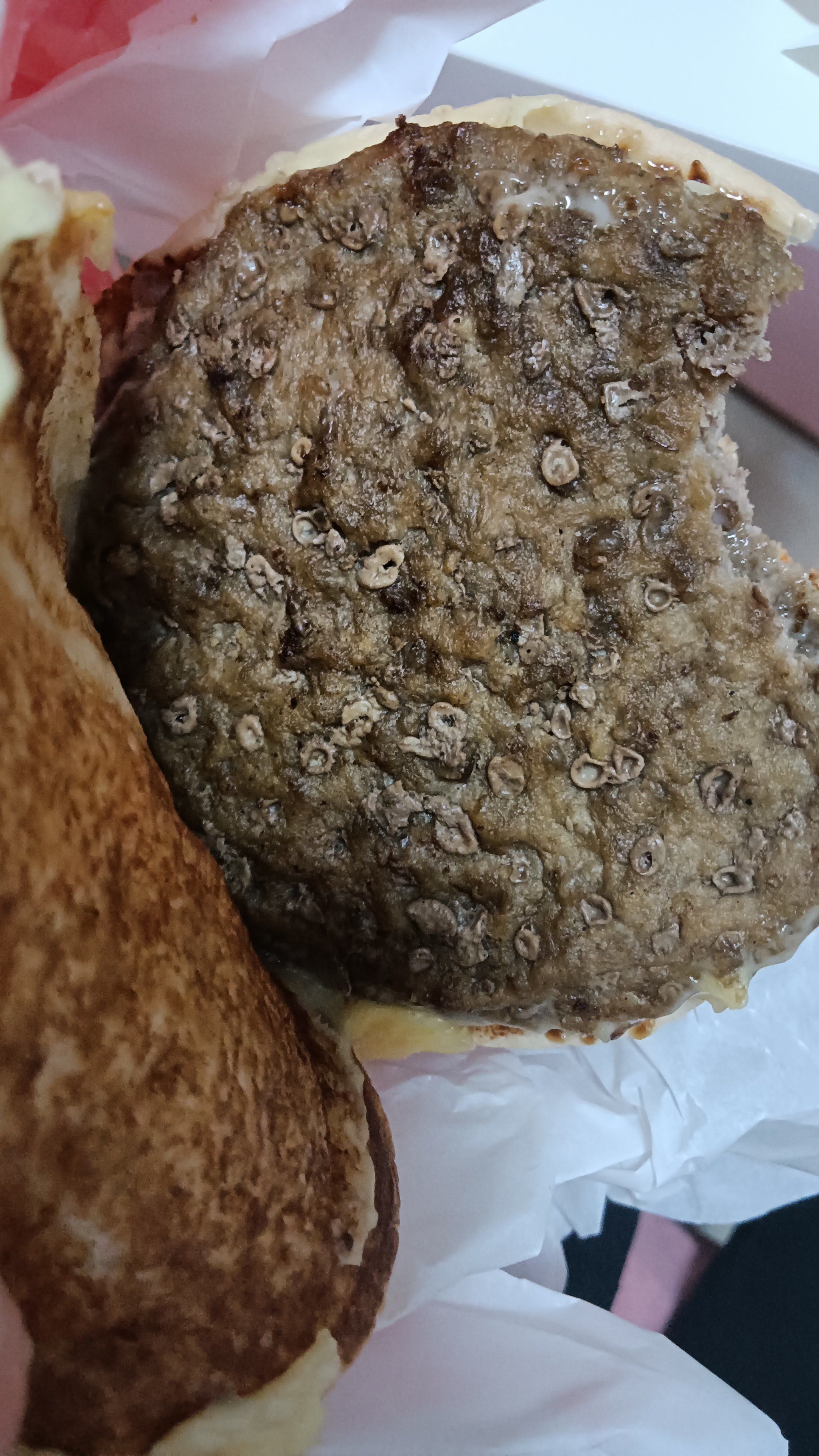 再也不吃汉堡王了,恶心!鸡皮疙瘩都起来了!