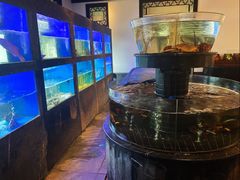 水产区-宁波柏悦酒店·钱湖渔港