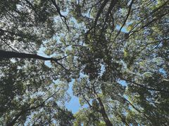 -广富林郊野公园