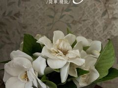 -碧云国际社区·晓园