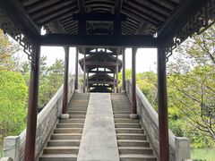 -八大山人梅湖景区