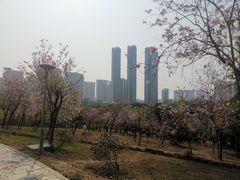 -聚龙山公园