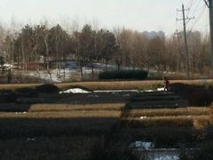 -长春公园(普阳街道)