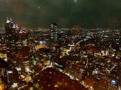 -东京都厅舍
